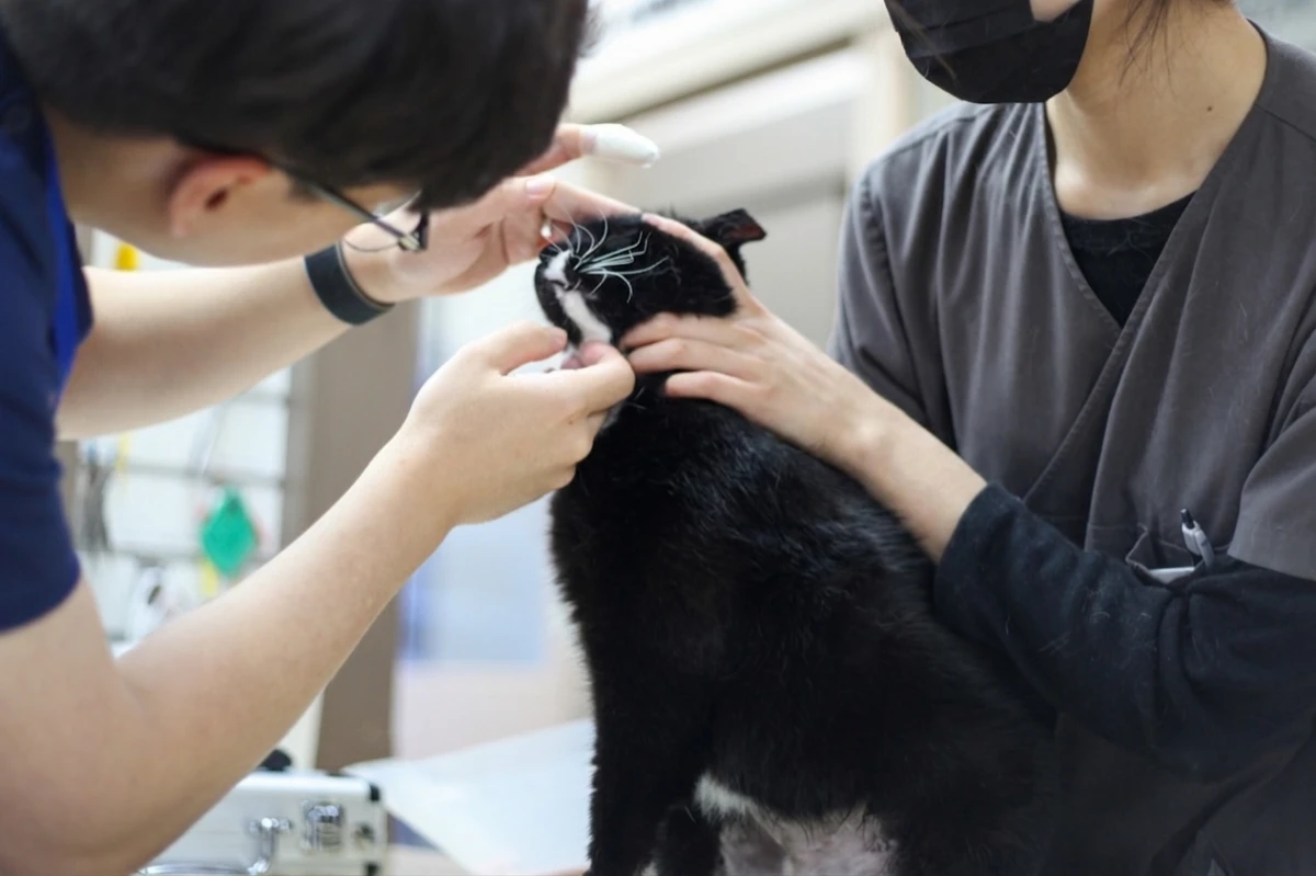 이상 소견 발견 시 당일 전문 진료 연계
