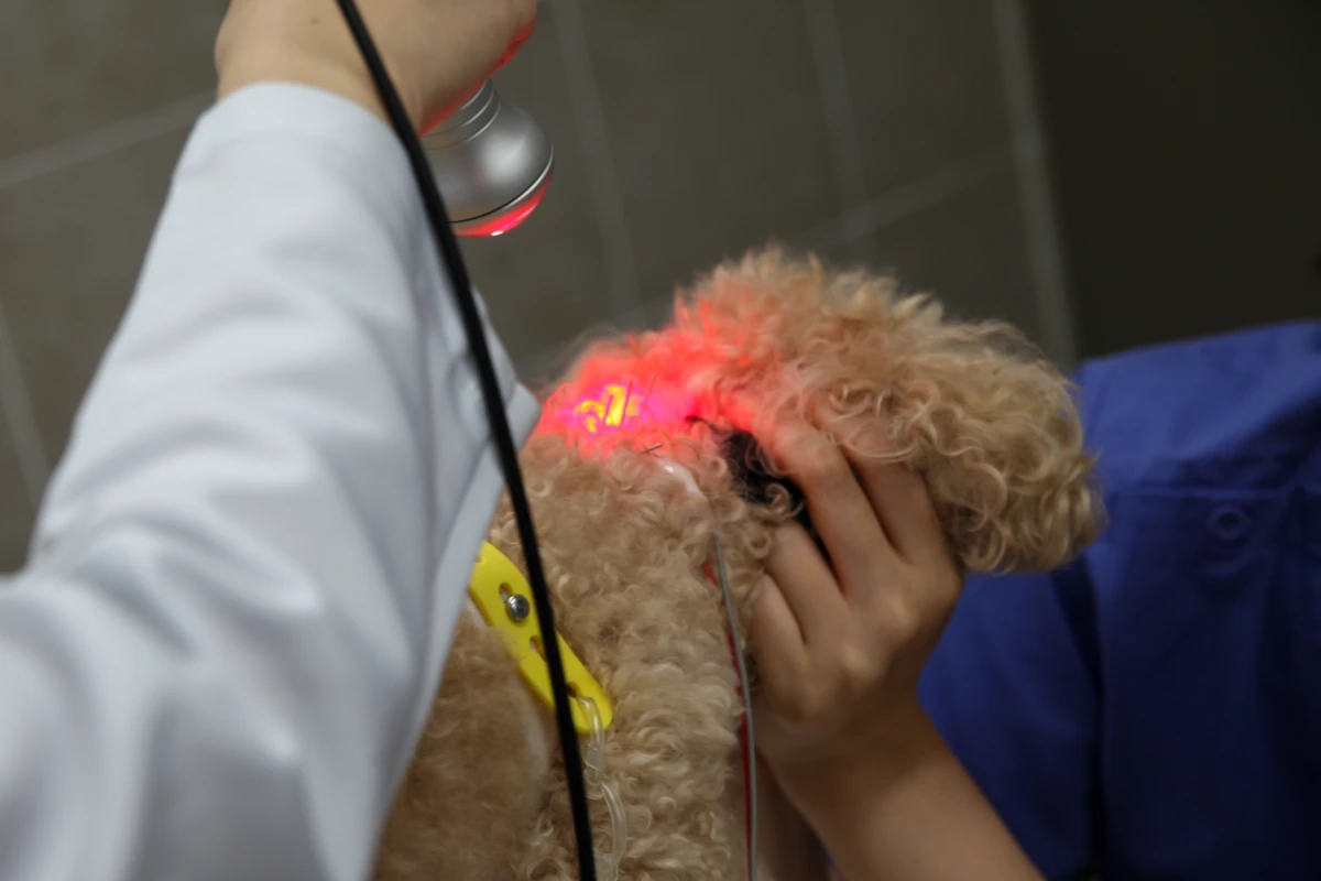 약물 부작용 걱정 없는 비약물 치료