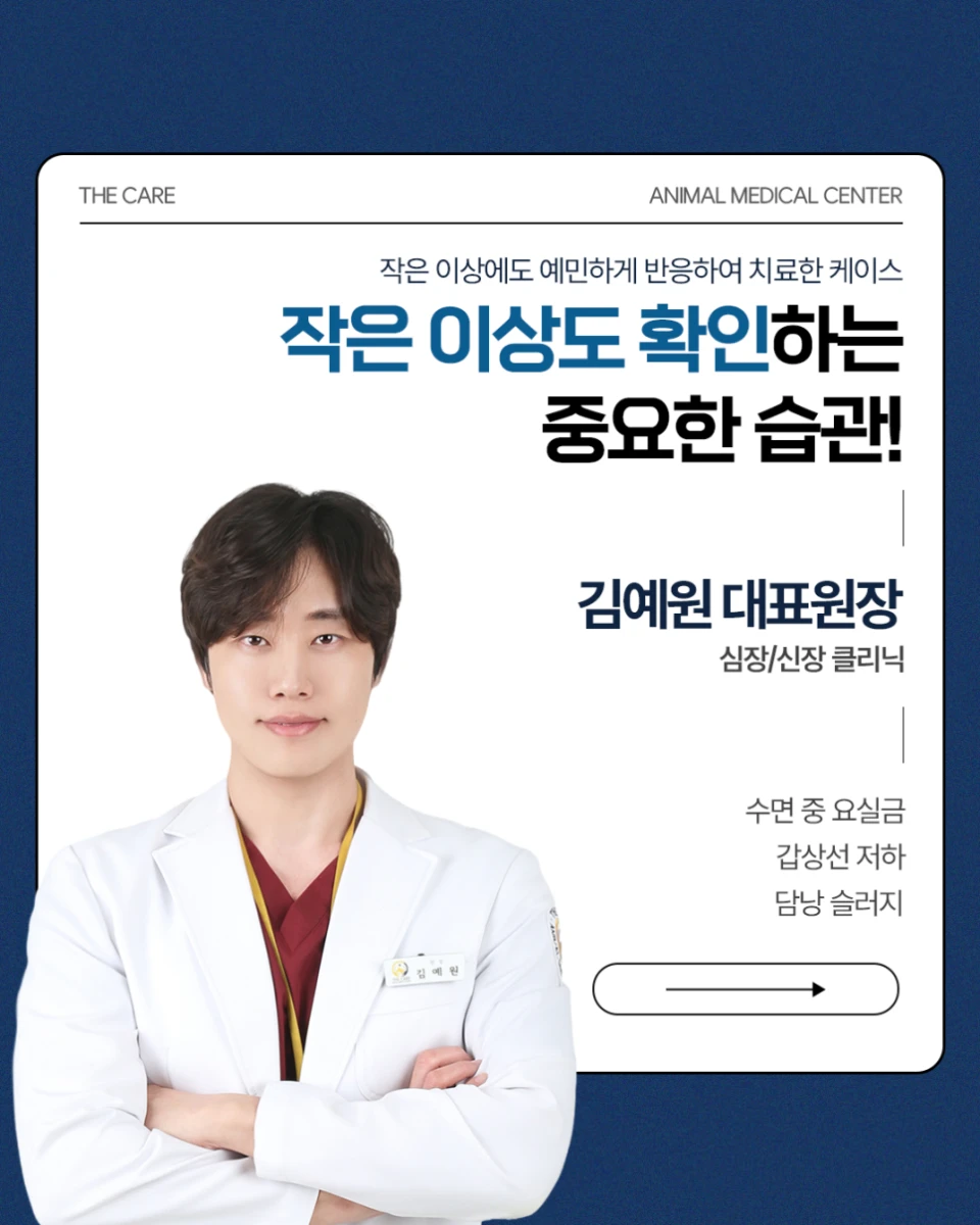 남양주고양이동물병원, 숨겨진 심장병의 진실
