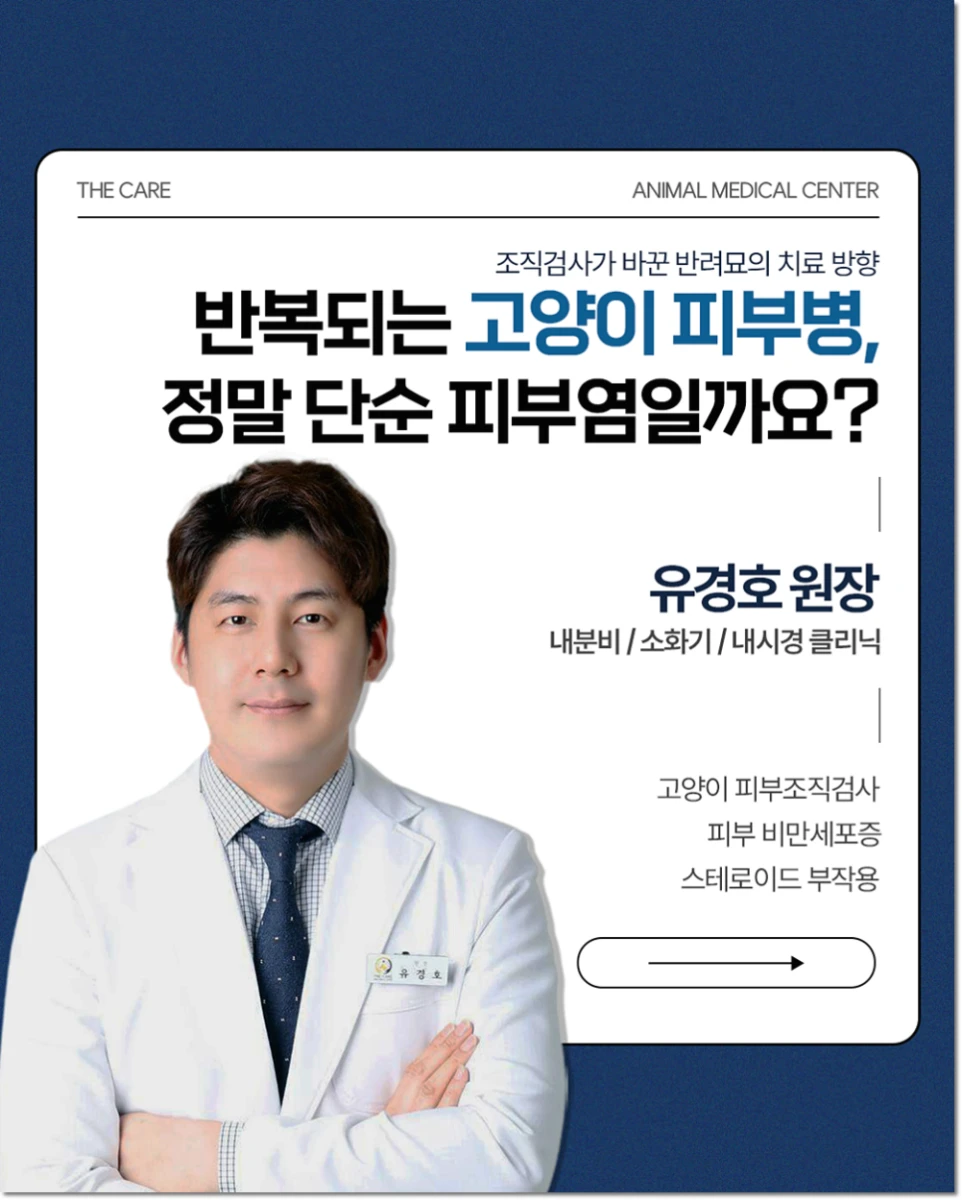 24시더케어동물의료센터 유경호 원장 시술 반복되는 고양이 피부병 원인이 뭘까