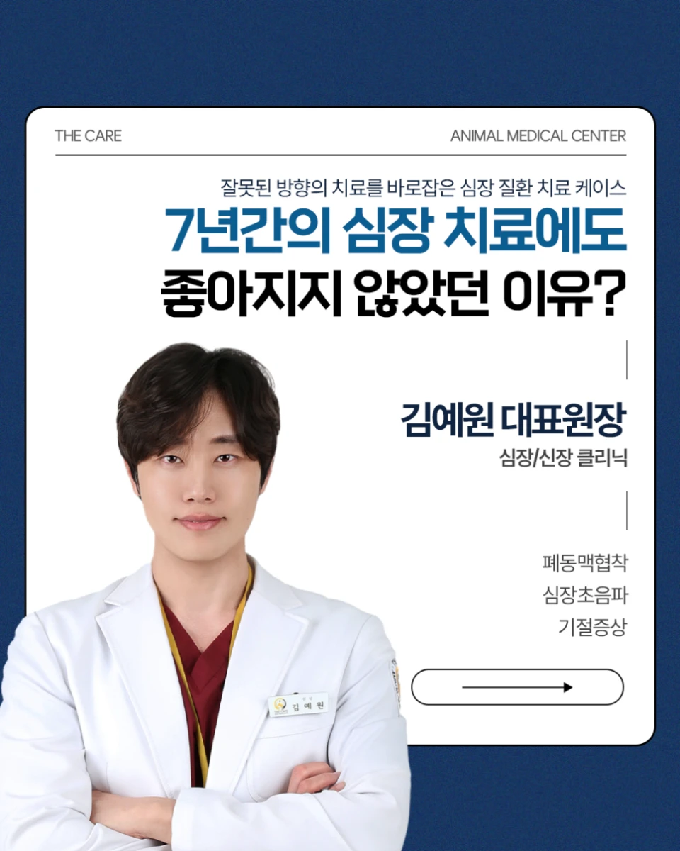 폐고혈압으로 치료받던 14살 푸들, 실제 원인은 폐동맥 협착이었습니다