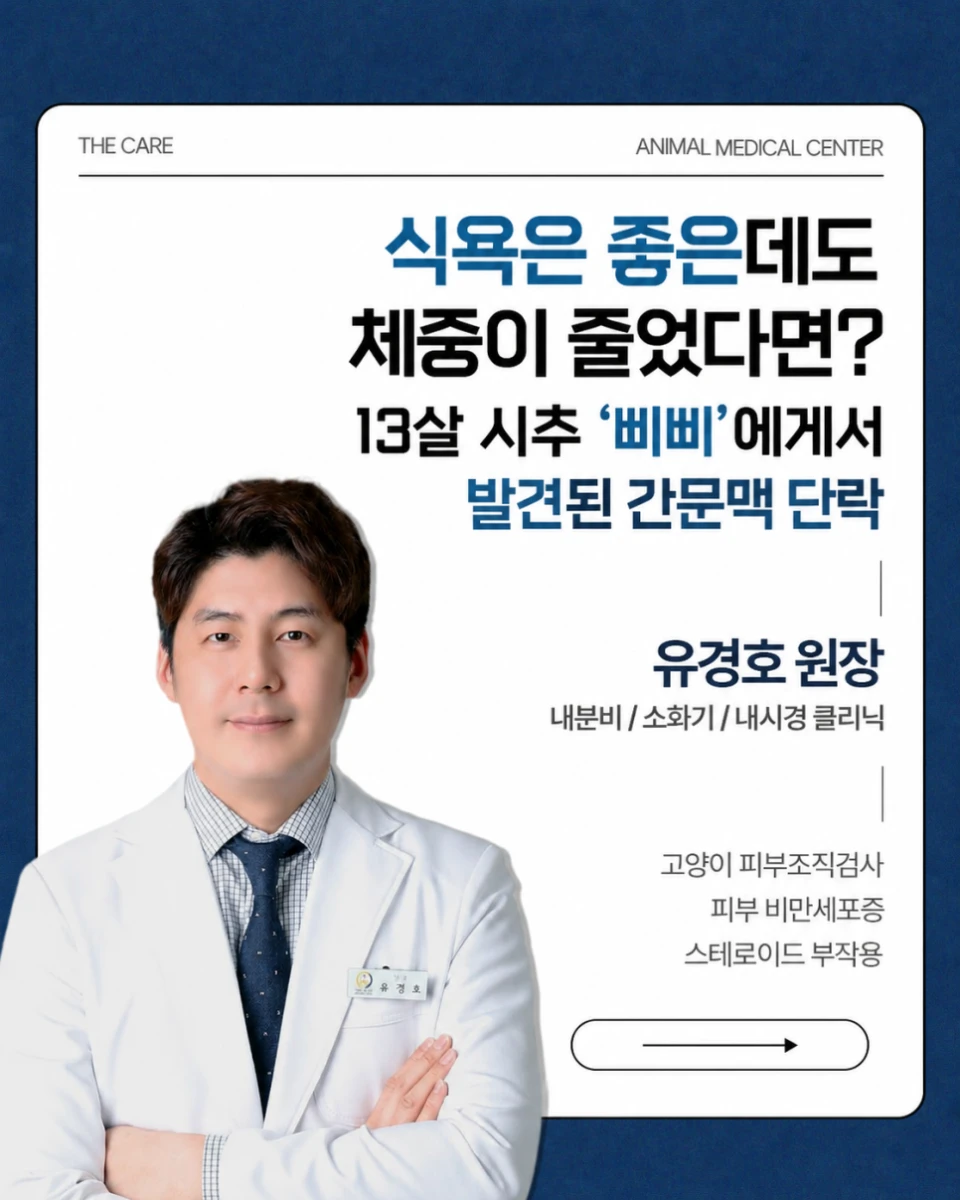 식욕은 좋은데도 체중이 줄었다면? 13살 시추 ‘삐삐’에게서 발견된 간문맥 단락(PSS)
