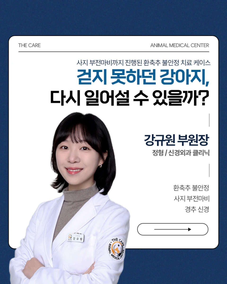 사지마비까지 진행된 말티즈 ‘초롱’ 환자 맞춤형 3D 프린팅 수술로 다시 걷게 된 환축추 불안정(AAI) 치료 사례