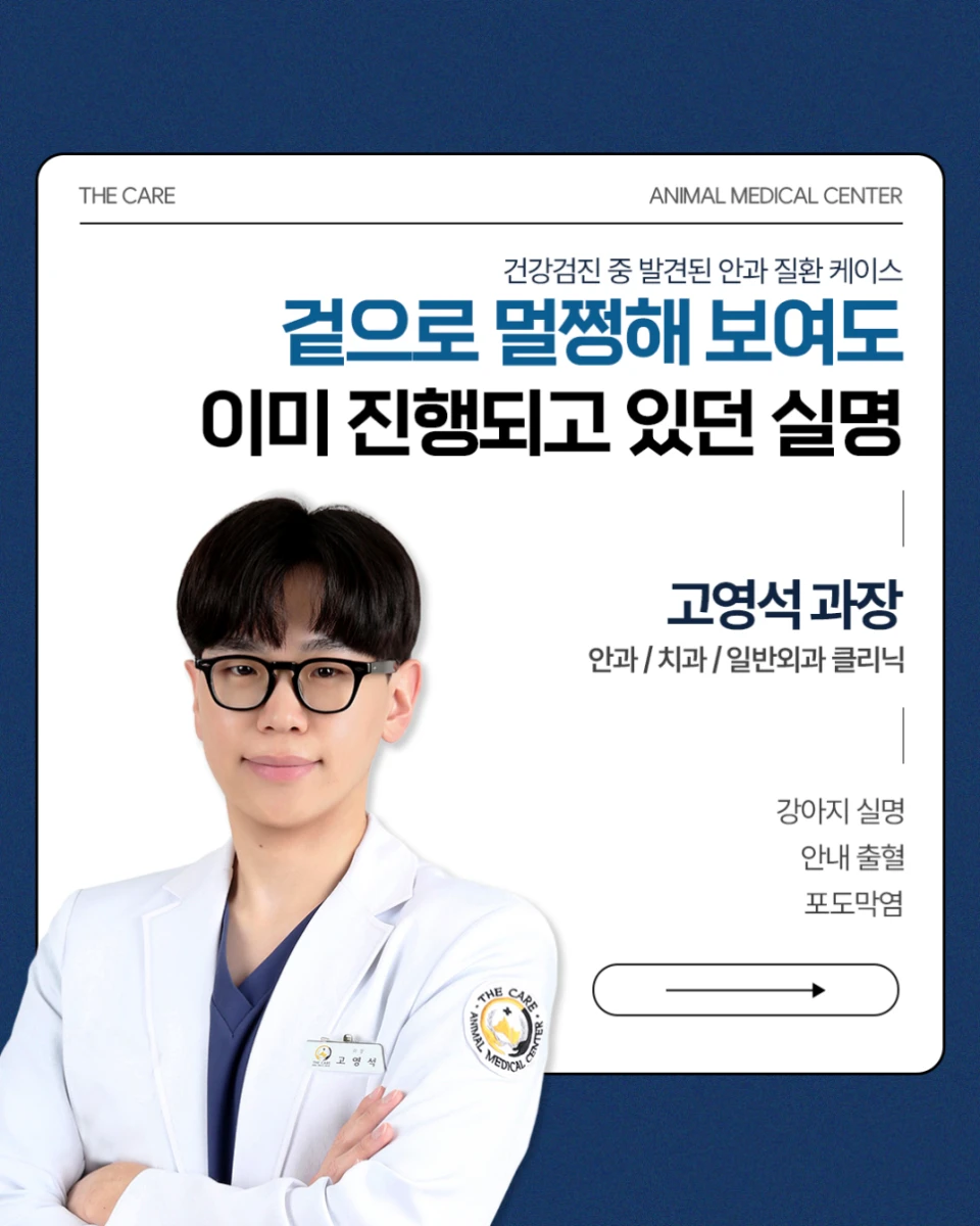 건강검진 중 발견된 한쪽 눈 실명, 안내출혈과 포도막염으로 시력을 잃은 12살 푸들 '뽀뽀'