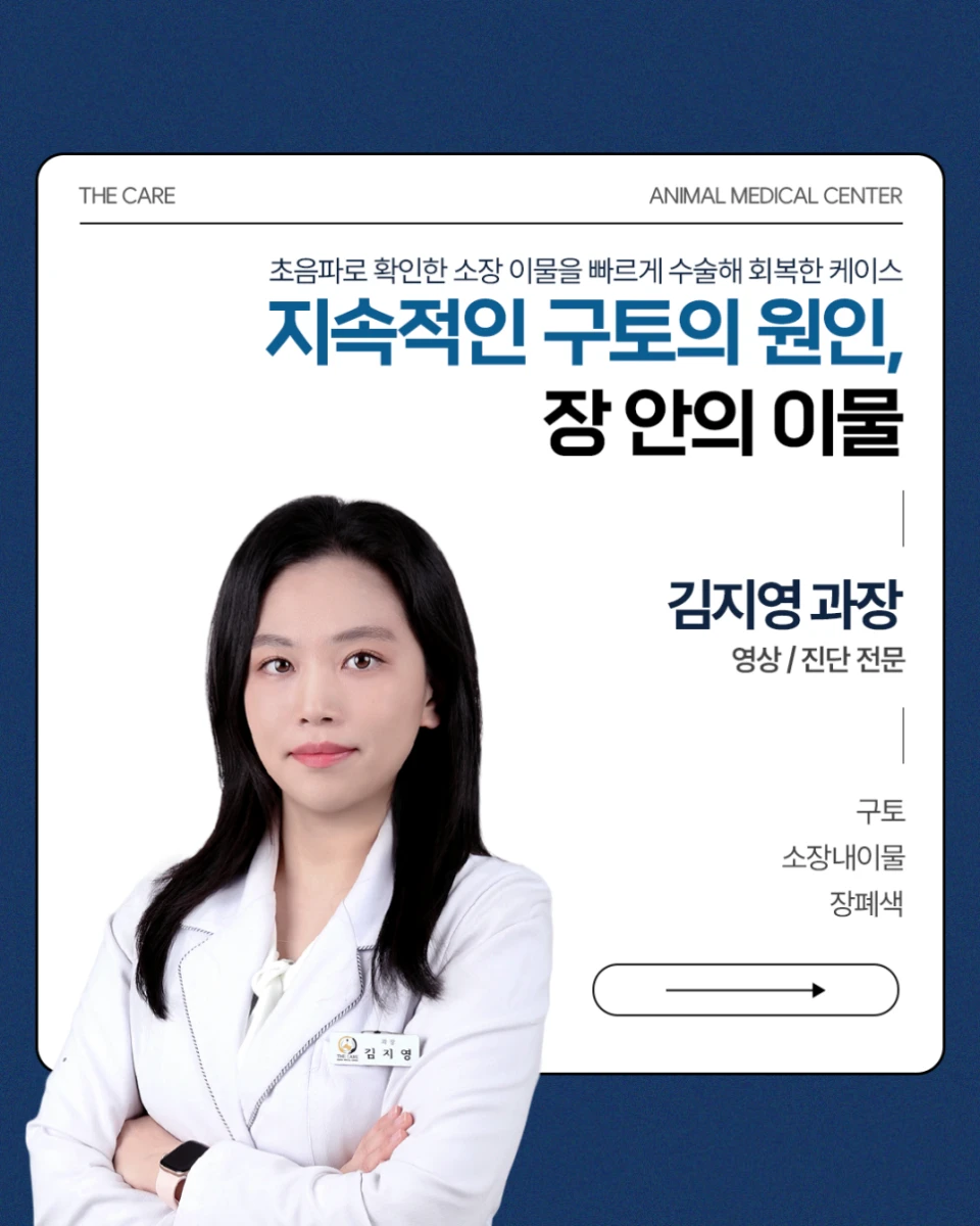 강아지 구토와 설사, 단순 장염이 아닌 소장 이물이 원인이었던 말티즈 수술 사례
