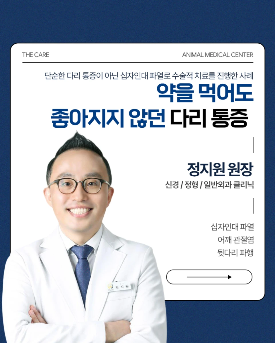 강아지 십자인대 파열, TPLO만으로 부족했던 이유,TPA 42.8° 고난도 TPLO·CTWO 동시 수술 증례